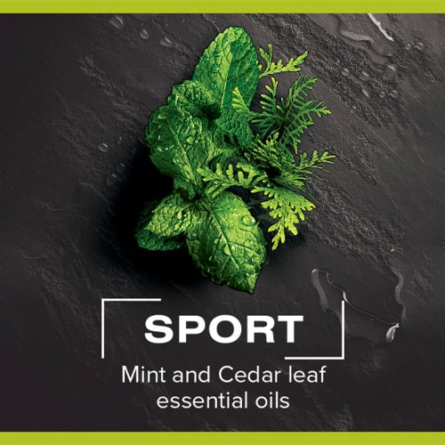 Palmolive Men Sport