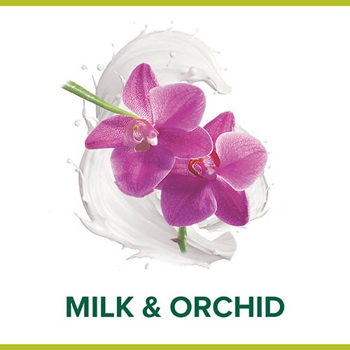 Milk & Orchid